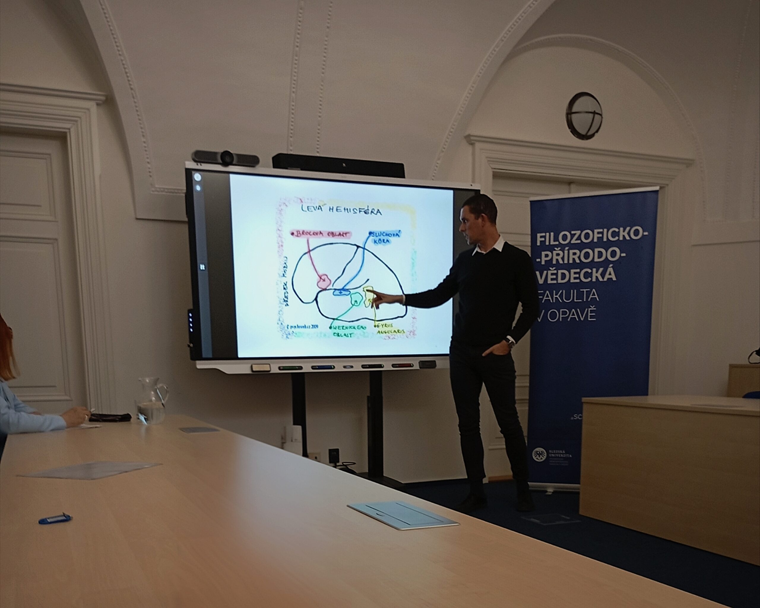 Když slova nestačí: o roli gest u osob s afázií